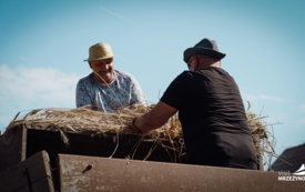Galeria aktualności Chleba naszego powszedniego daj nam dzisiaj&hellip; - Historyczne Żniwa w Gosławiu 38