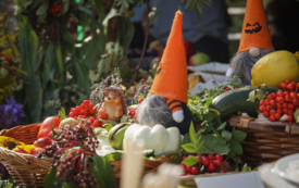 Galeria aktualności Trzebiat&oacute;w świętuje plony &ndash; barwne Dożynki 2025 17