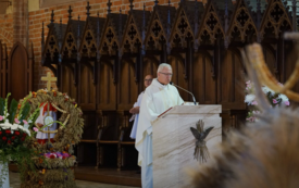 Galeria aktualności Trzebiat&oacute;w świętuje plony &ndash; barwne Dożynki 2025 22