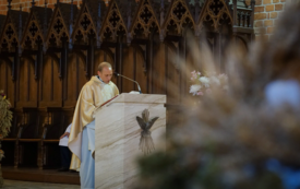 Galeria aktualności Trzebiat&oacute;w świętuje plony &ndash; barwne Dożynki 2025 23