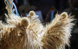 Galeria aktualności Trzebiat&oacute;w świętuje plony &ndash; barwne Dożynki 2025 33