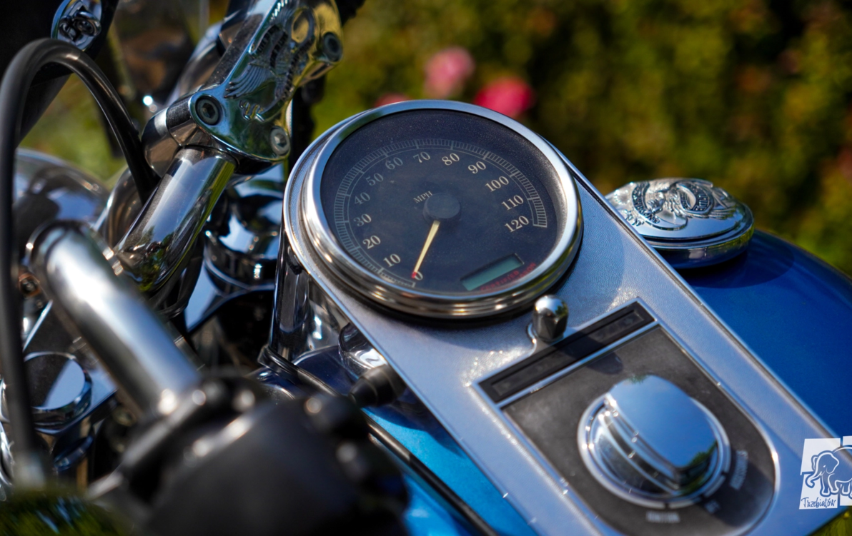 Zdjęcie do Rock, Motocykle, Glany i Gitary &ndash; SŁONINA 2025