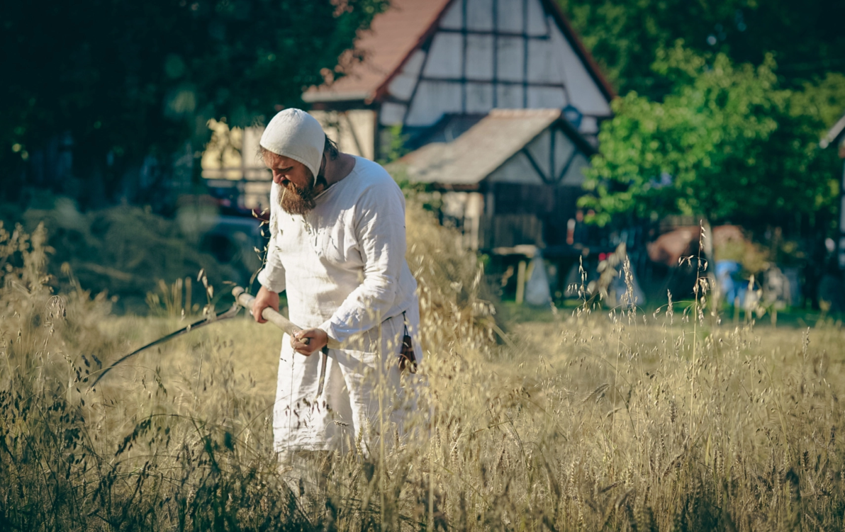 Historyczne Żniwa w Gosławiu